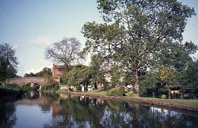 crt_wild_181 image crt_wild_181