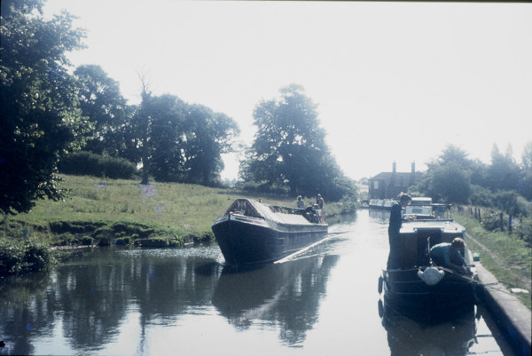 BW197-2-24-36 image BW197-2-24-36