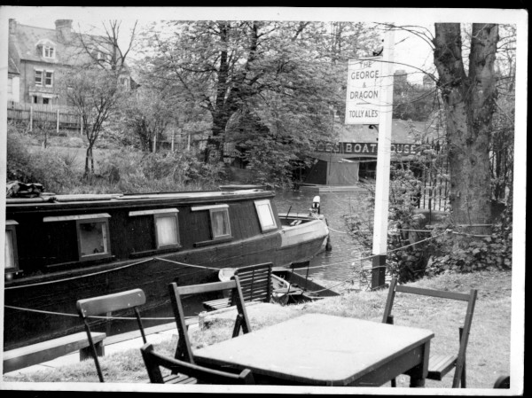 p31 image p31