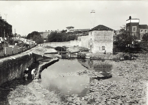 BW200-1-47-46 image BW200-1-47-46