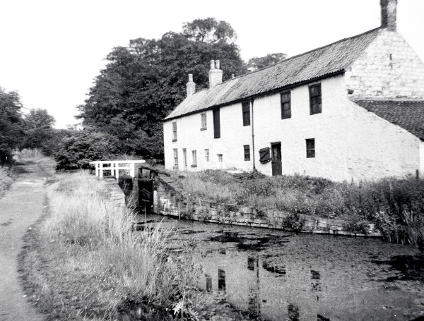 R0446 image R0446