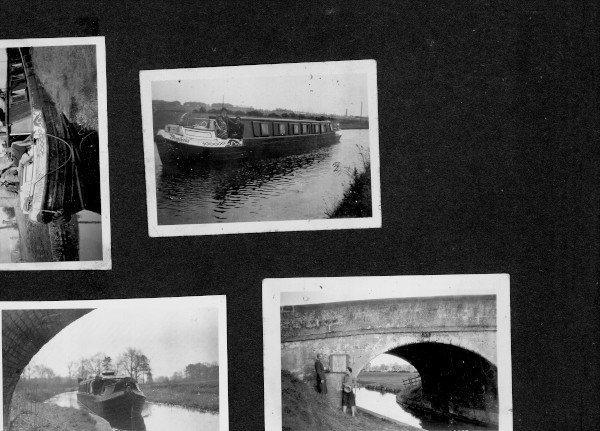 section 1 image section 1