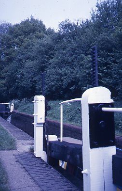 crt_wild_129 image crt_wild_129