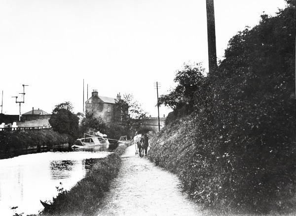 R0856 image R0856