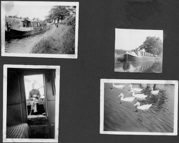 section 8 image section 8