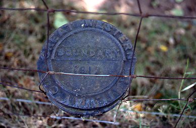 crt_wild-72 image crt_wild-72