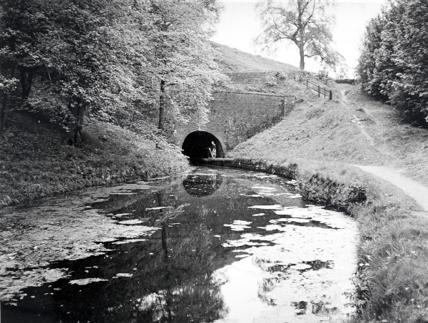 R0466 image R0466