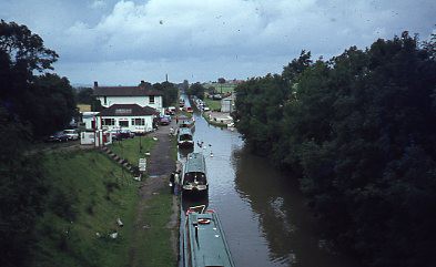 crt_wild_83 image crt_wild_83