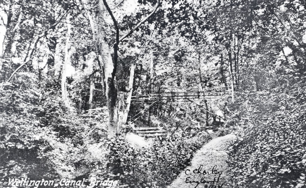 R0976 image R0976