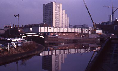 crt_wild_153 image crt_wild_153