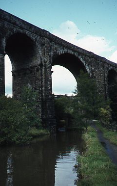 crt_wild_193 image crt_wild_193