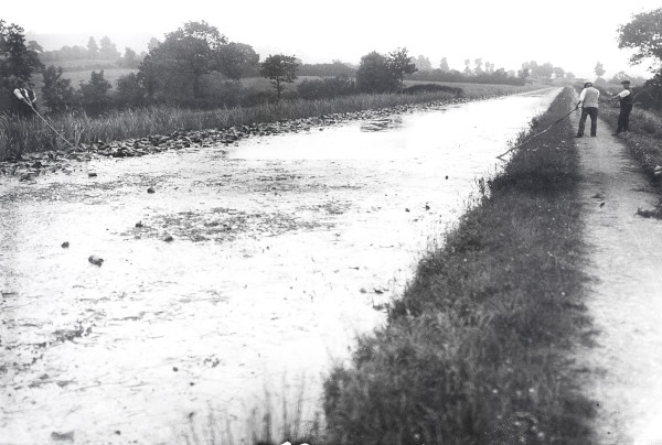 R0986 image R0986