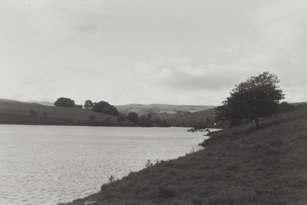 BW192-3-2-1-12-1-96 image BW192-3-2-1-12-1-96