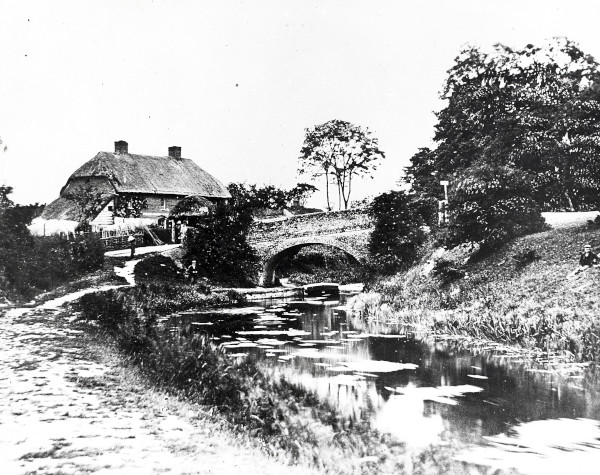 R0196 image R0196