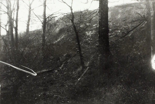 BW192-3-1-29-10-7 image BW192-3-1-29-10-7