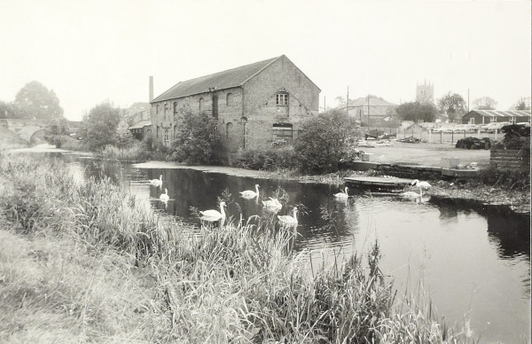 BW200-1-47-51-7 image BW200-1-47-51-7