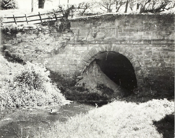 BW200-1-81-7 image BW200-1-81-7