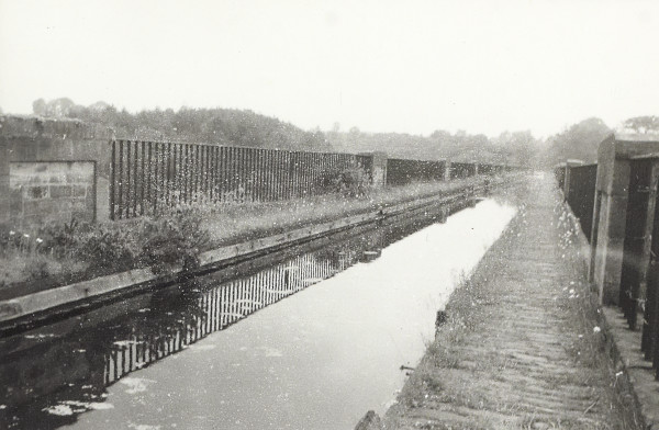 BW200-1-100-12-7 image BW200-1-100-12-7