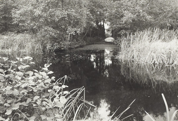 BW200-1-7-22-7 image BW200-1-7-22-7