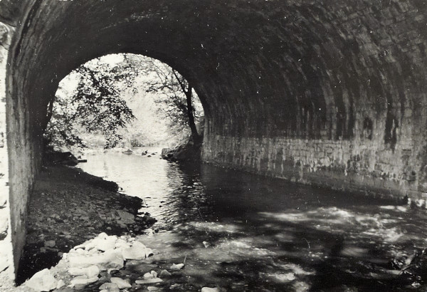 BW200-1-73-7 image BW200-1-73-7