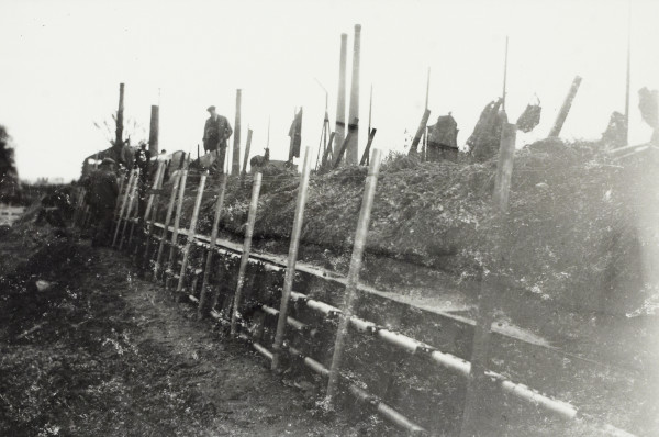 BW192-3-1-29-14-7 image BW192-3-1-29-14-7