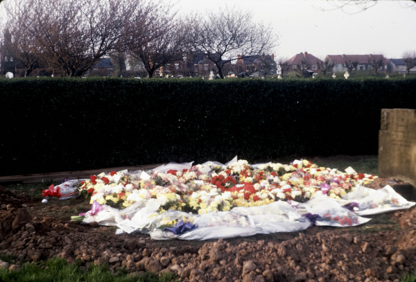 BW197-2-18-24-7 image BW197-2-18-24-7