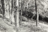 BW200-1-55-44-7 image BW200-1-55-44-7