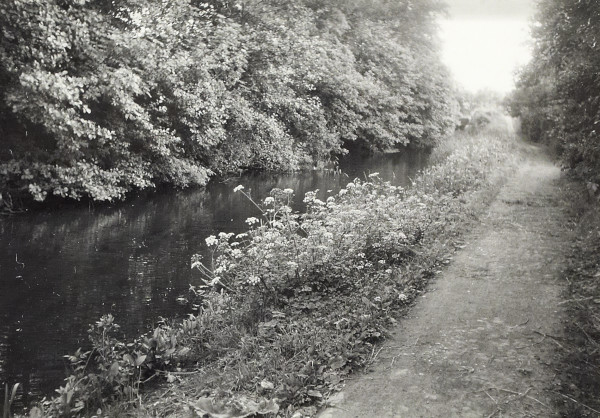 BW200-1-64-7 image BW200-1-64-7