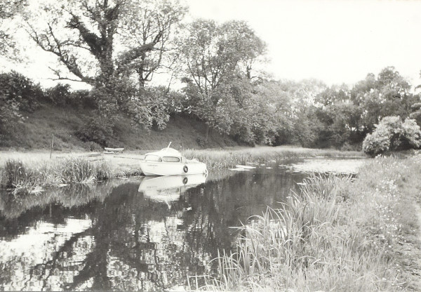 BW200-1-99-74-7 image BW200-1-99-74-7