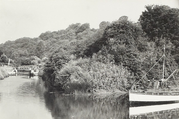 BW200-1-5-6-7 image BW200-1-5-6-7