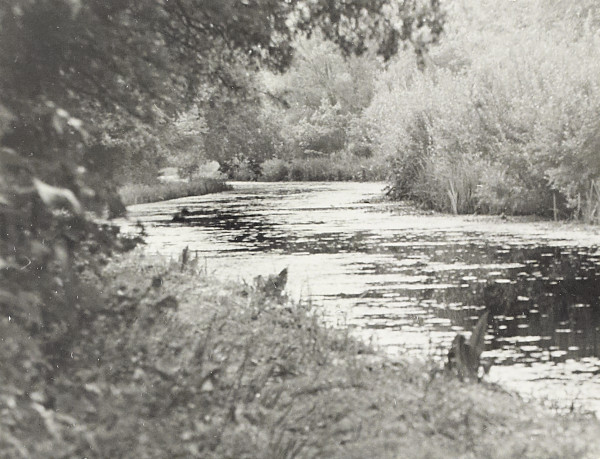 BW200-1-7-27-7 image BW200-1-7-27-7