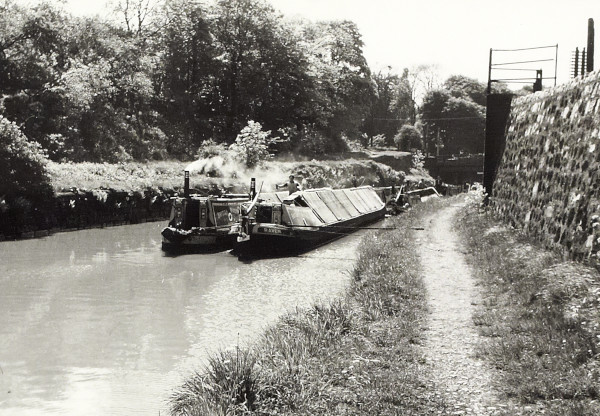 BW200-1-99-57-7 image BW200-1-99-57-7