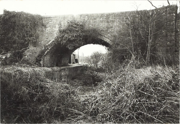 BW200-1-97-7 image BW200-1-97-7