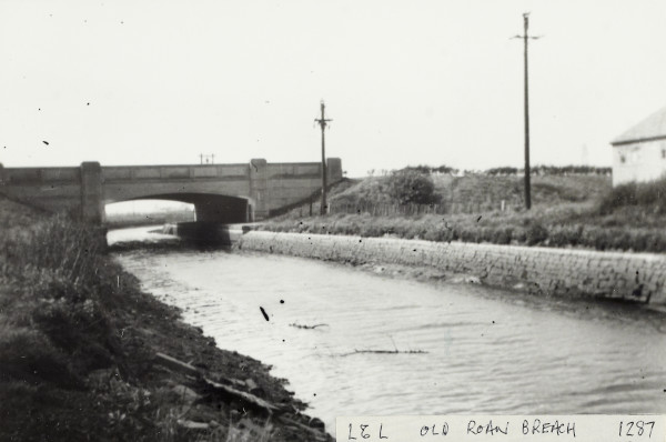 BW192-3-1-29-8-7 image BW192-3-1-29-8-7