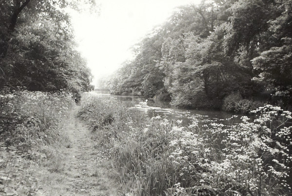 BW200-1-99-78-7 image BW200-1-99-78-7