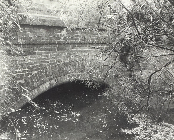 BW200-1-99-98-7 image BW200-1-99-98-7