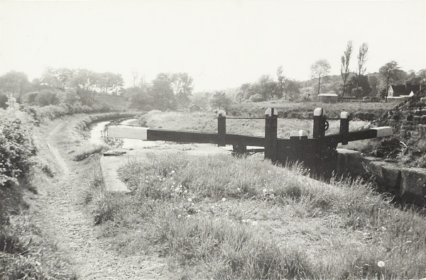 BW200-1-18-9-7 image BW200-1-18-9-7