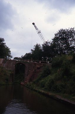 crt_wild_27 image crt_wild_27