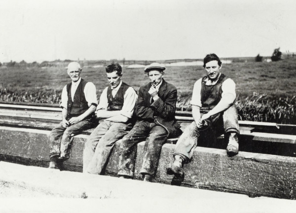 BW192-3-1-31-1-17 image BW192-3-1-31-1-17