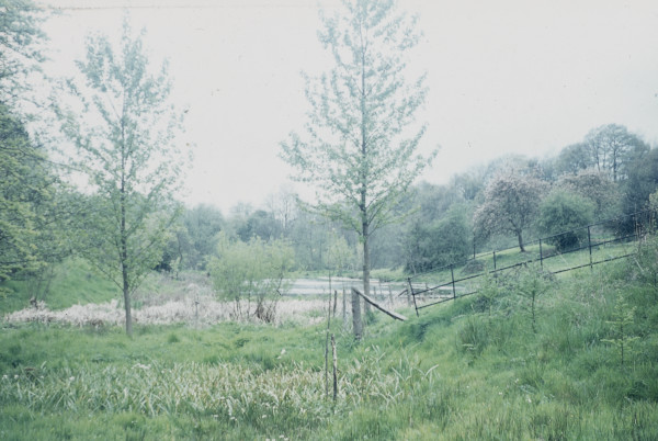 BW197-2-32-1-17 image BW197-2-32-1-17