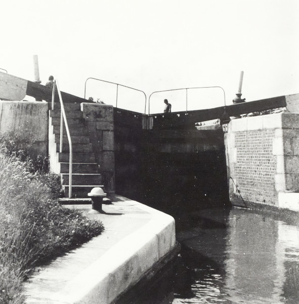 BW192-3-1-2-3-17 image BW192-3-1-2-3-17