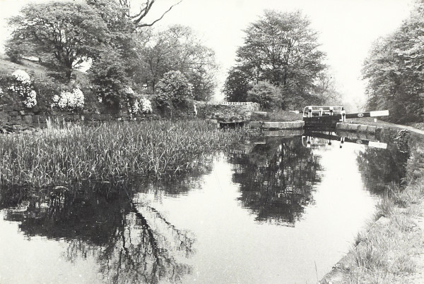 BW200-1-73-17 image BW200-1-73-17