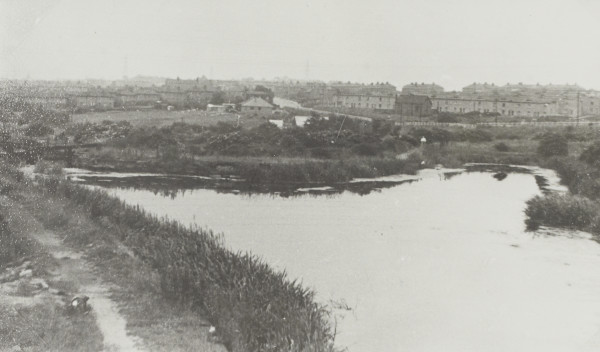 BW192-3-2-1-7-17 image BW192-3-2-1-7-17