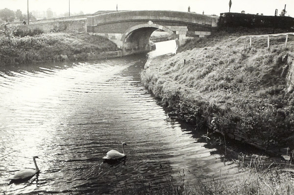 BW200-1-47-17 image BW200-1-47-17