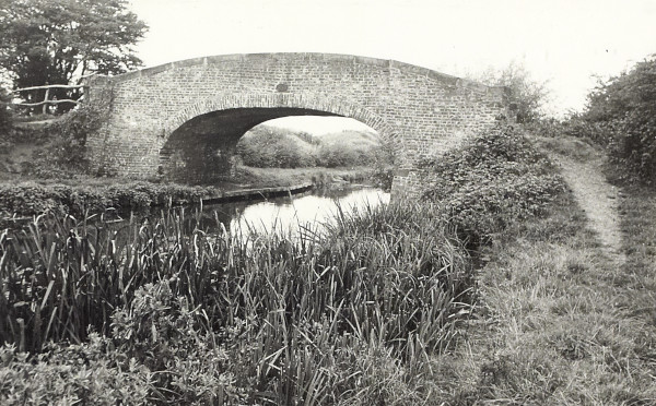 BW200-1-99-17 image BW200-1-99-17