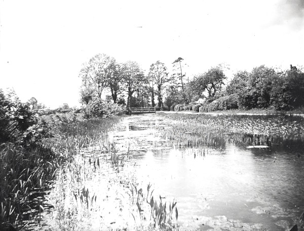 R0217 image R0217