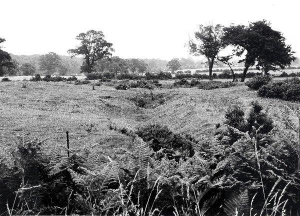 R0417 image R0417