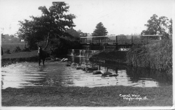 20022_0697 image 20022_0697