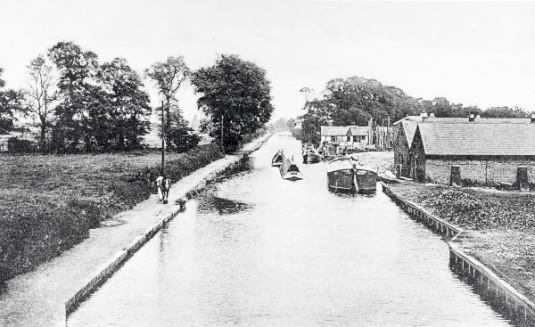 R0617 image R0617