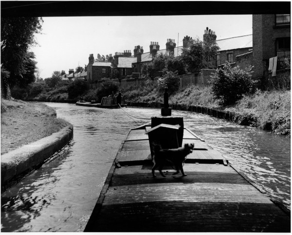 952_1038 image 952_1038